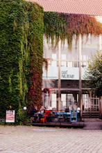 a building with a bunch of plants growing on the side of it