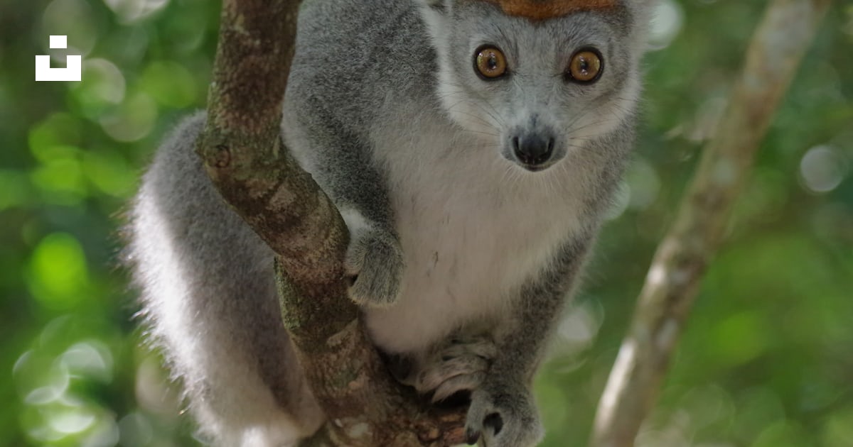 photo-1641224109421- photo-1641224109421-