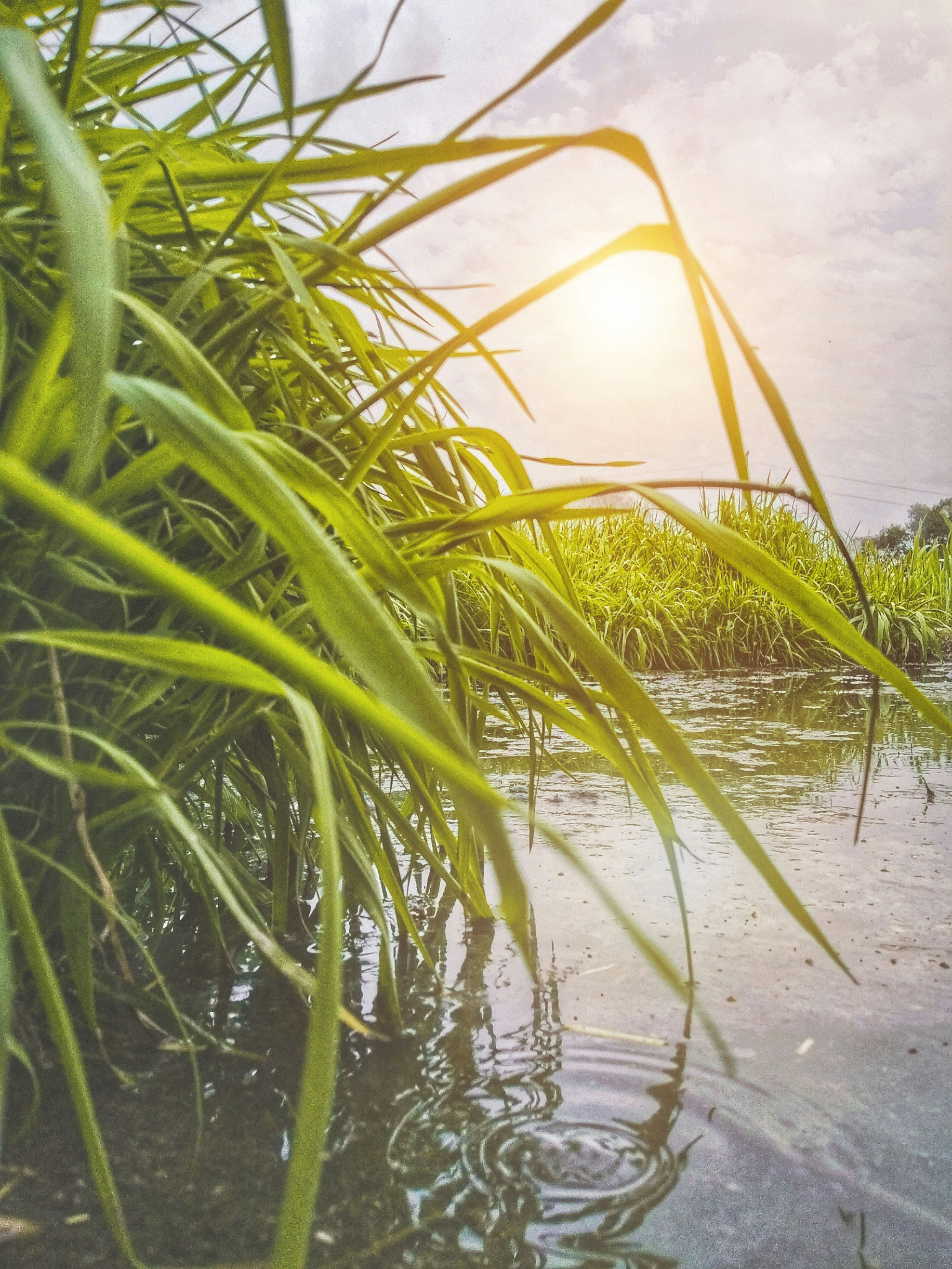 Photo by vinaybhardwaj__