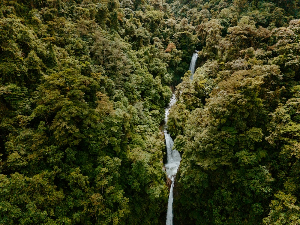 a waterfall in the middle of a forest