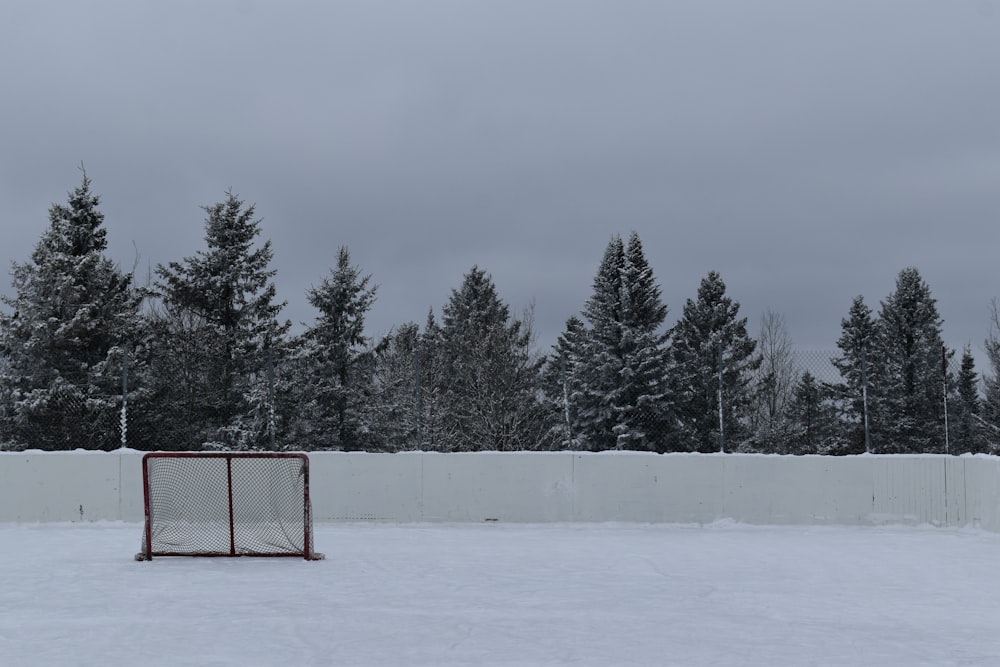 Ein Hockeytor mitten auf einem verschneiten Feld