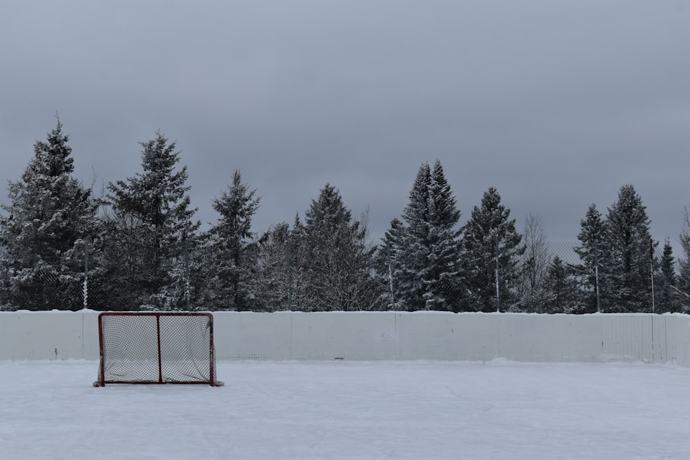 a hockey goal in the middle of a snowy field