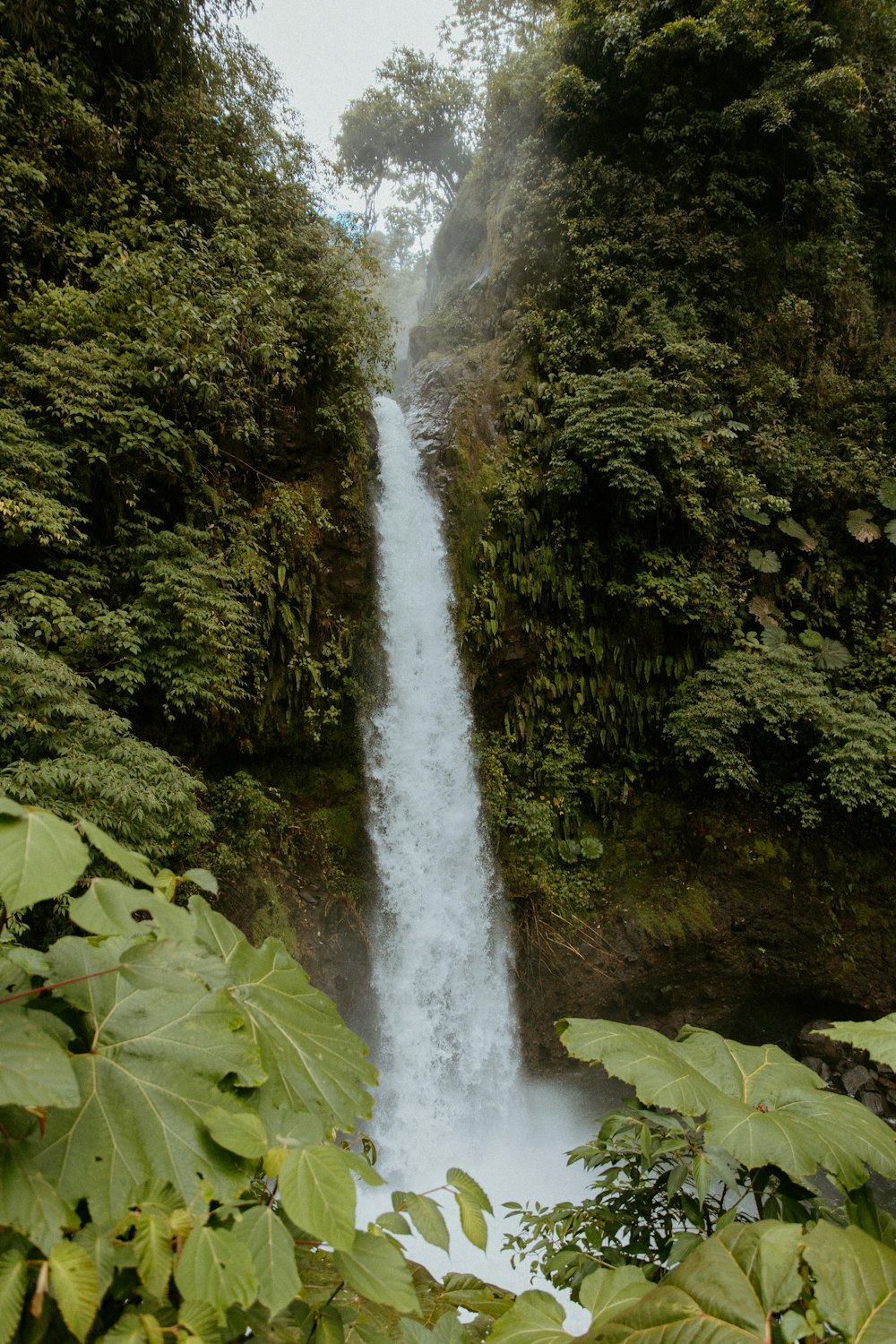 a very tall waterfall in the middle of a forest