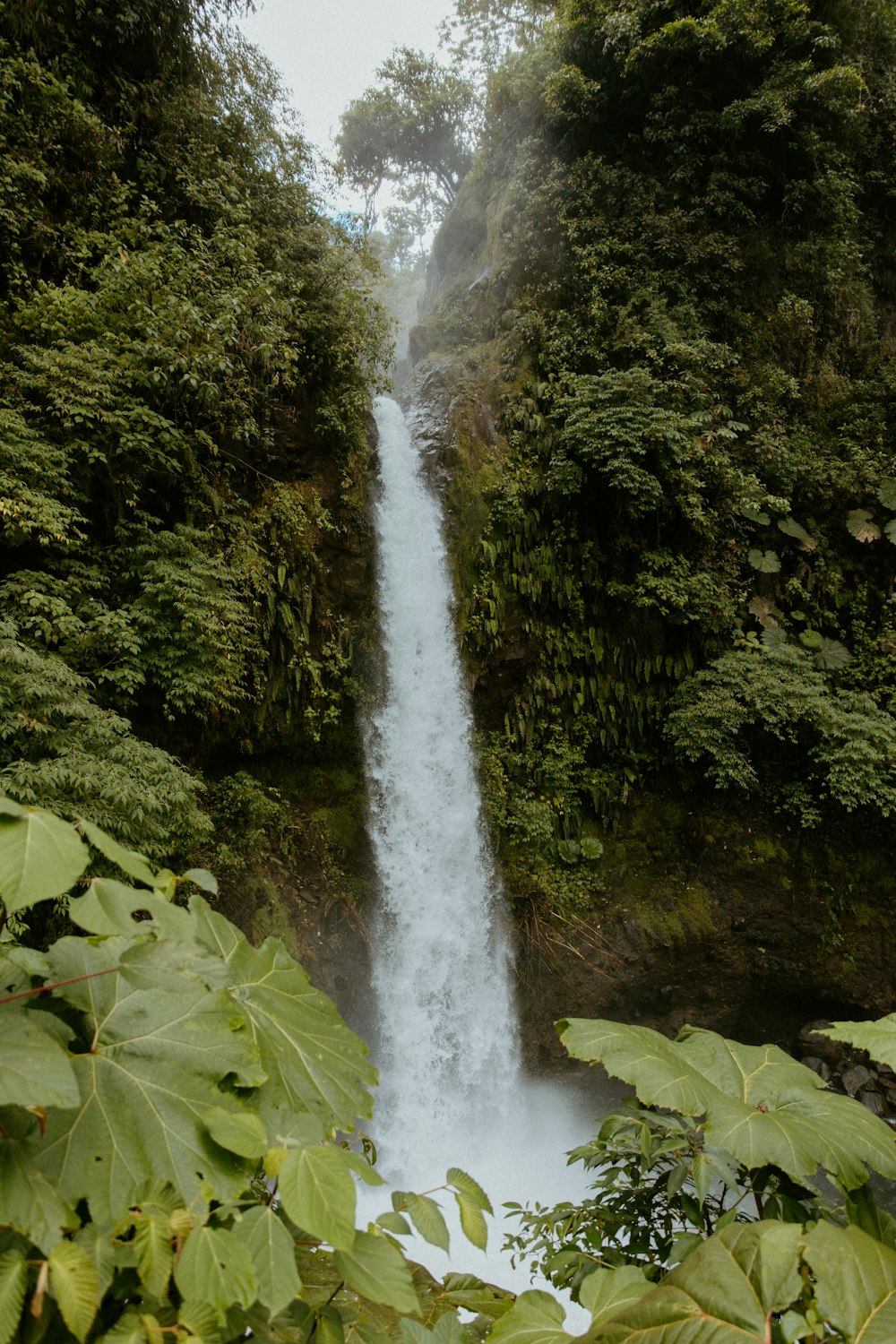 Ein sehr hoher Wasserfall mitten im Wald