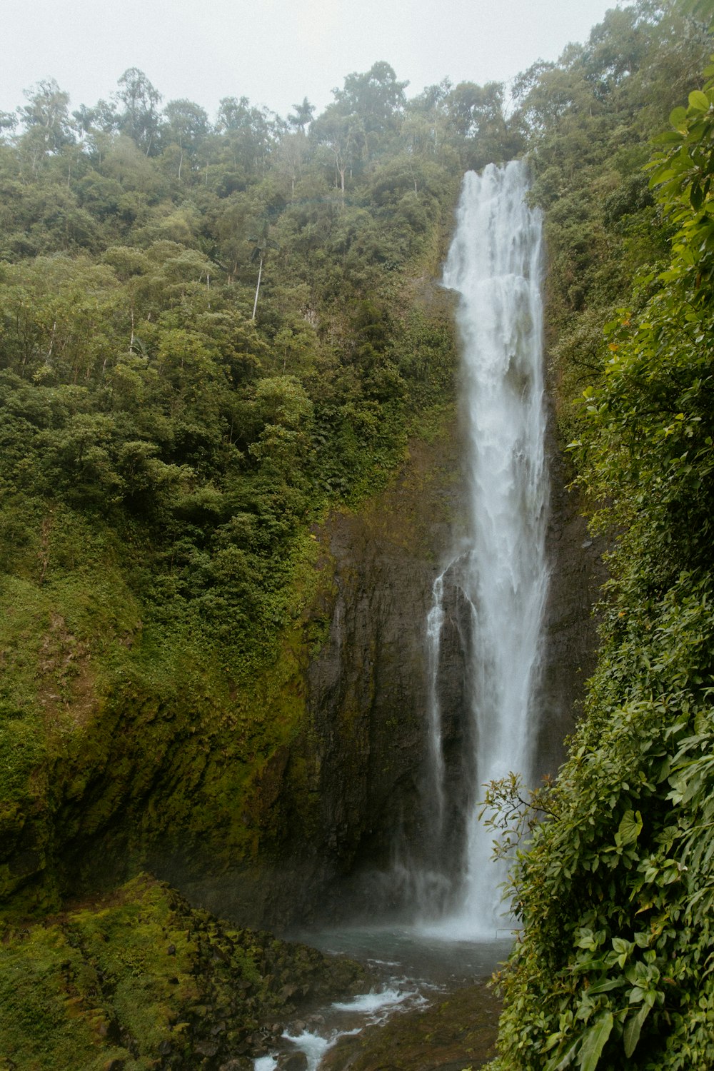 a large waterfall in the middle of a forest