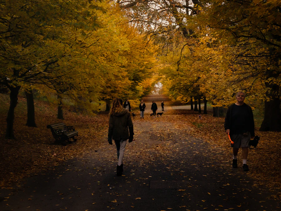 Bruntsfield