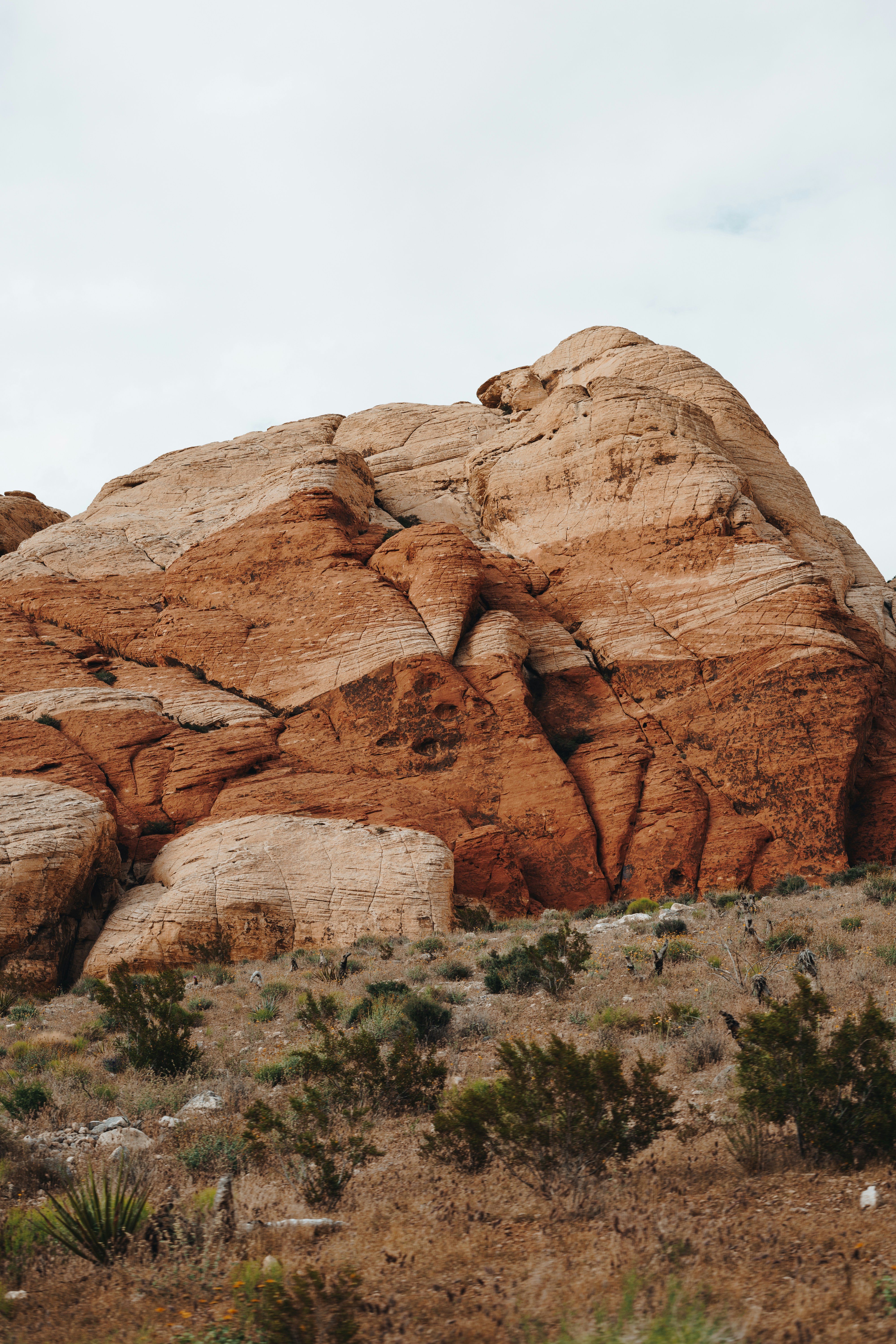 Photo by alexander_kaufmann