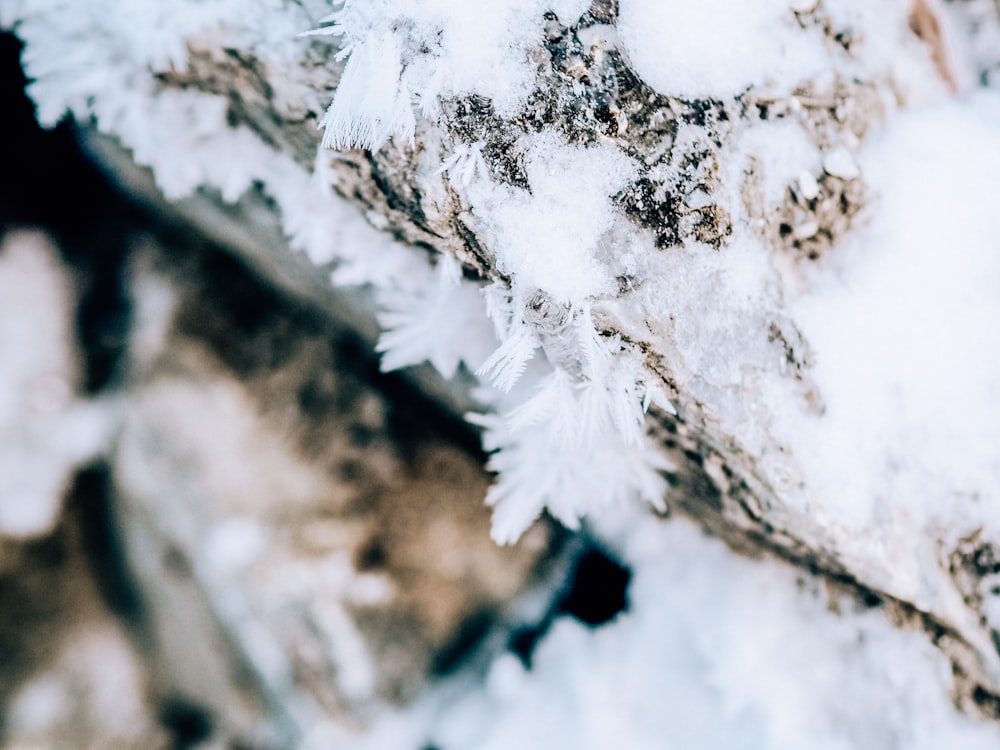 a close up of snow on a rock