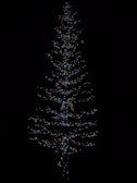 A tall tree wrapped in sparkling holiday lights.