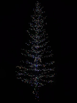 A tall tree wrapped in sparkling holiday lights.