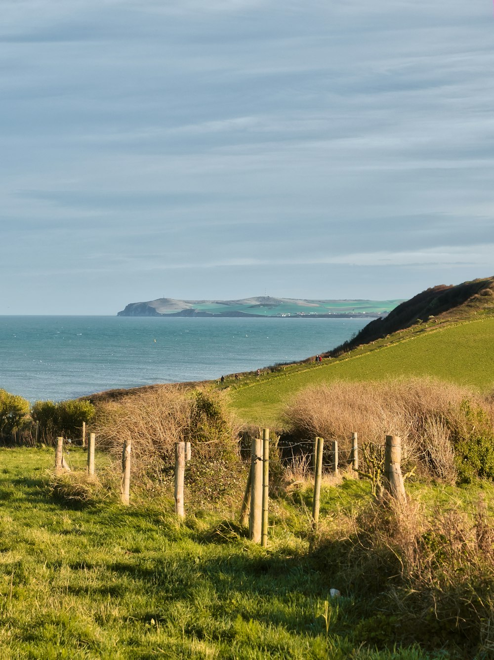 a grassy field with a body of water in the distance