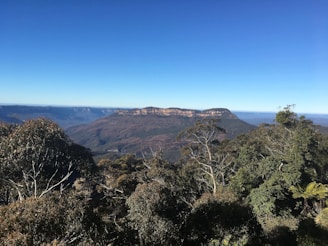 a view of the blue mountains from the top of a hill