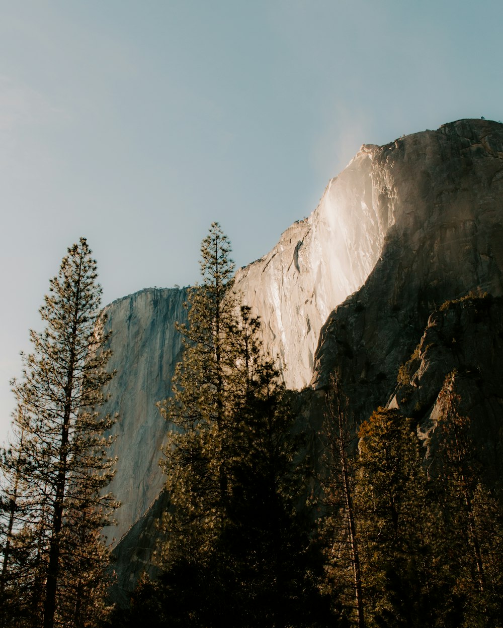 a tall mountain with a forest below it