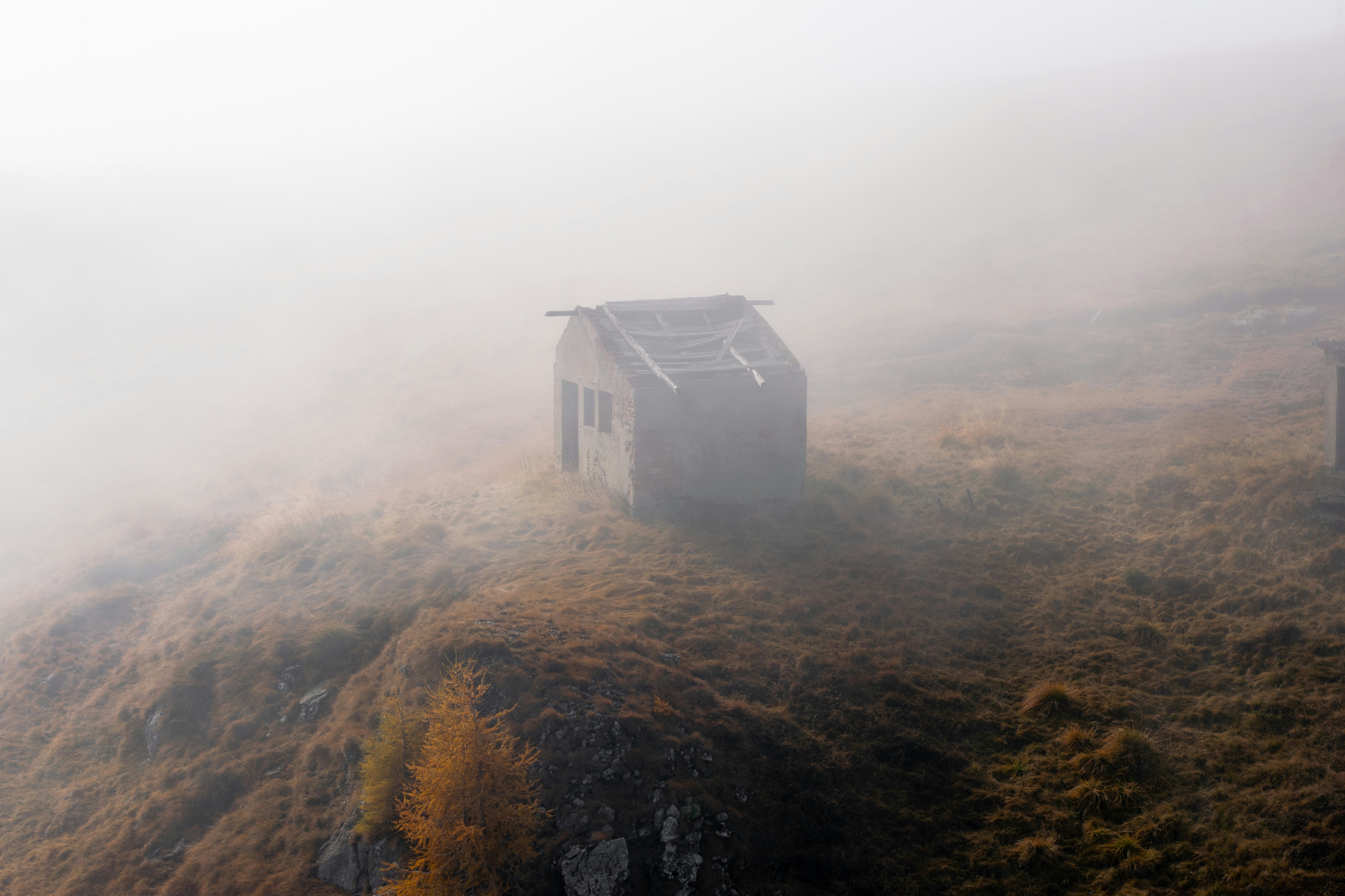 Photo by flotheram