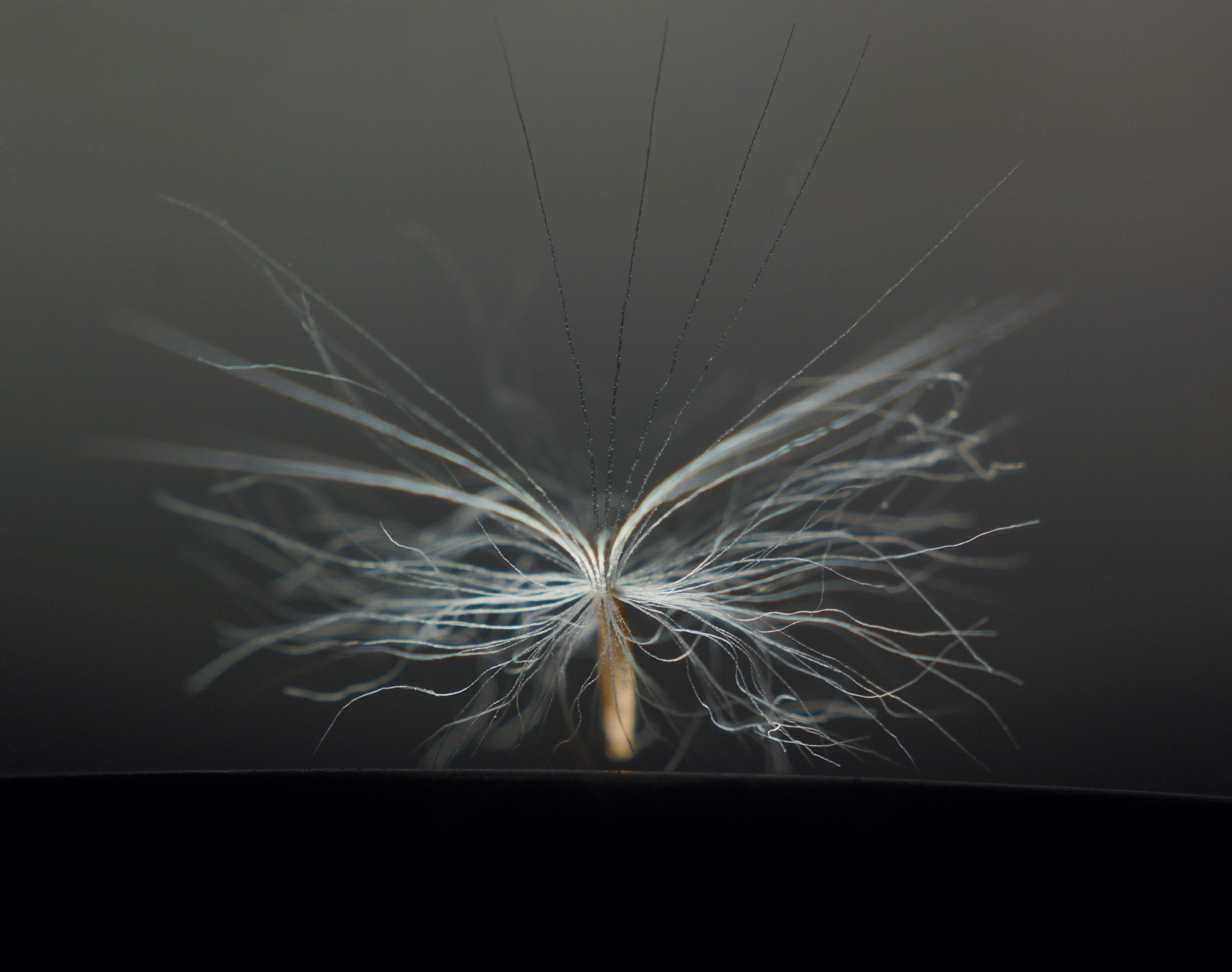 Photo by sararuizalejos