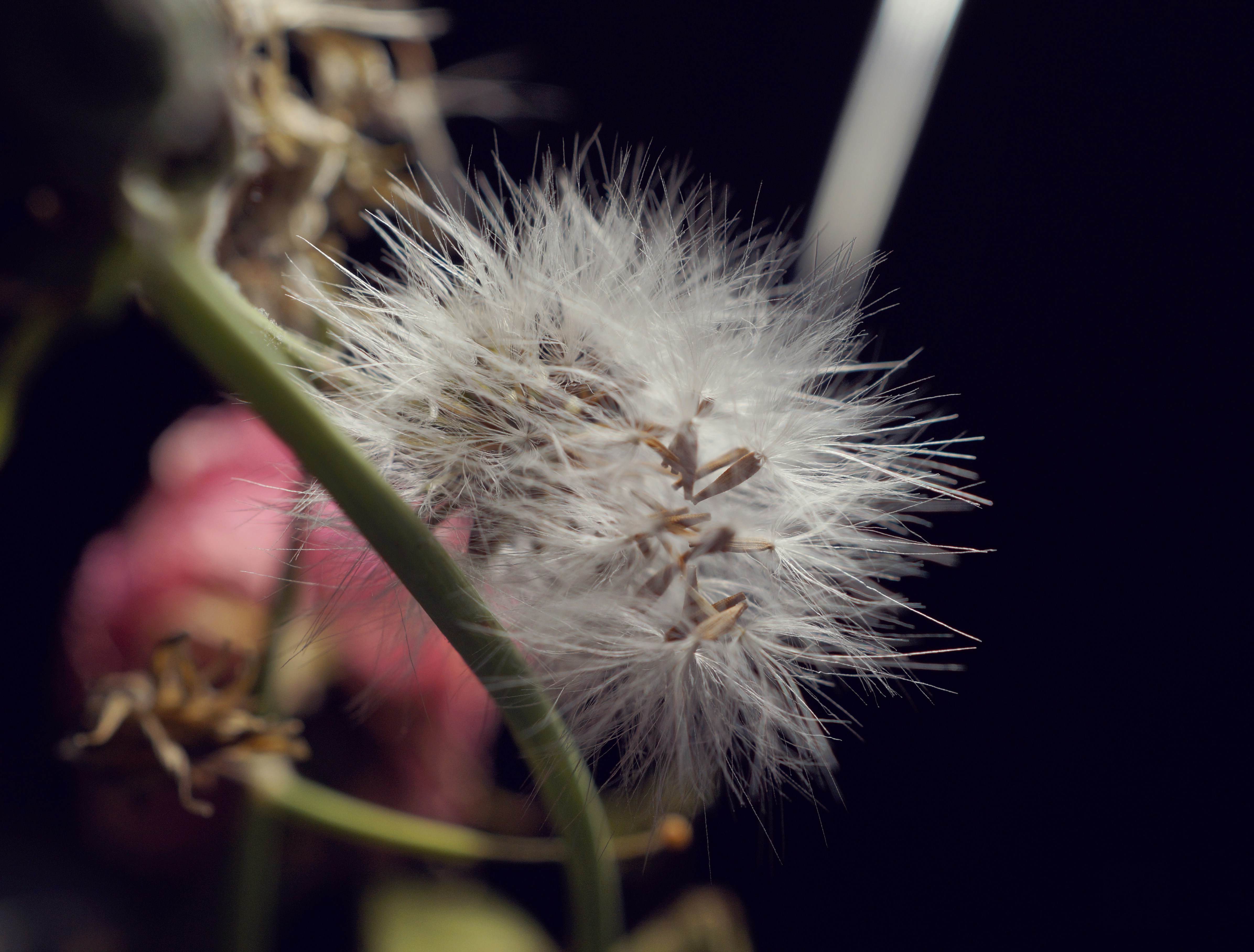 Photo by sararuizalejos