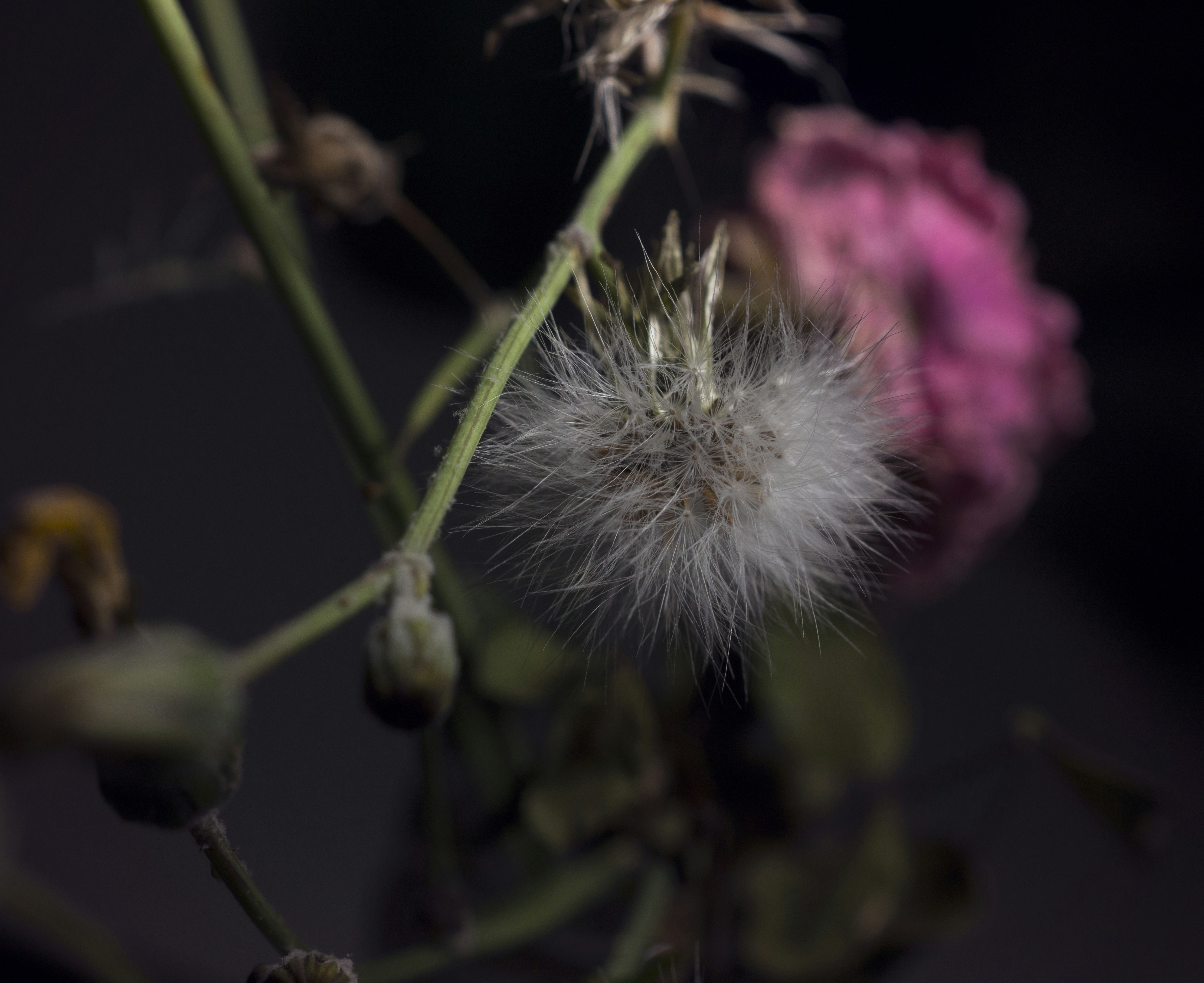 Photo by sararuizalejos