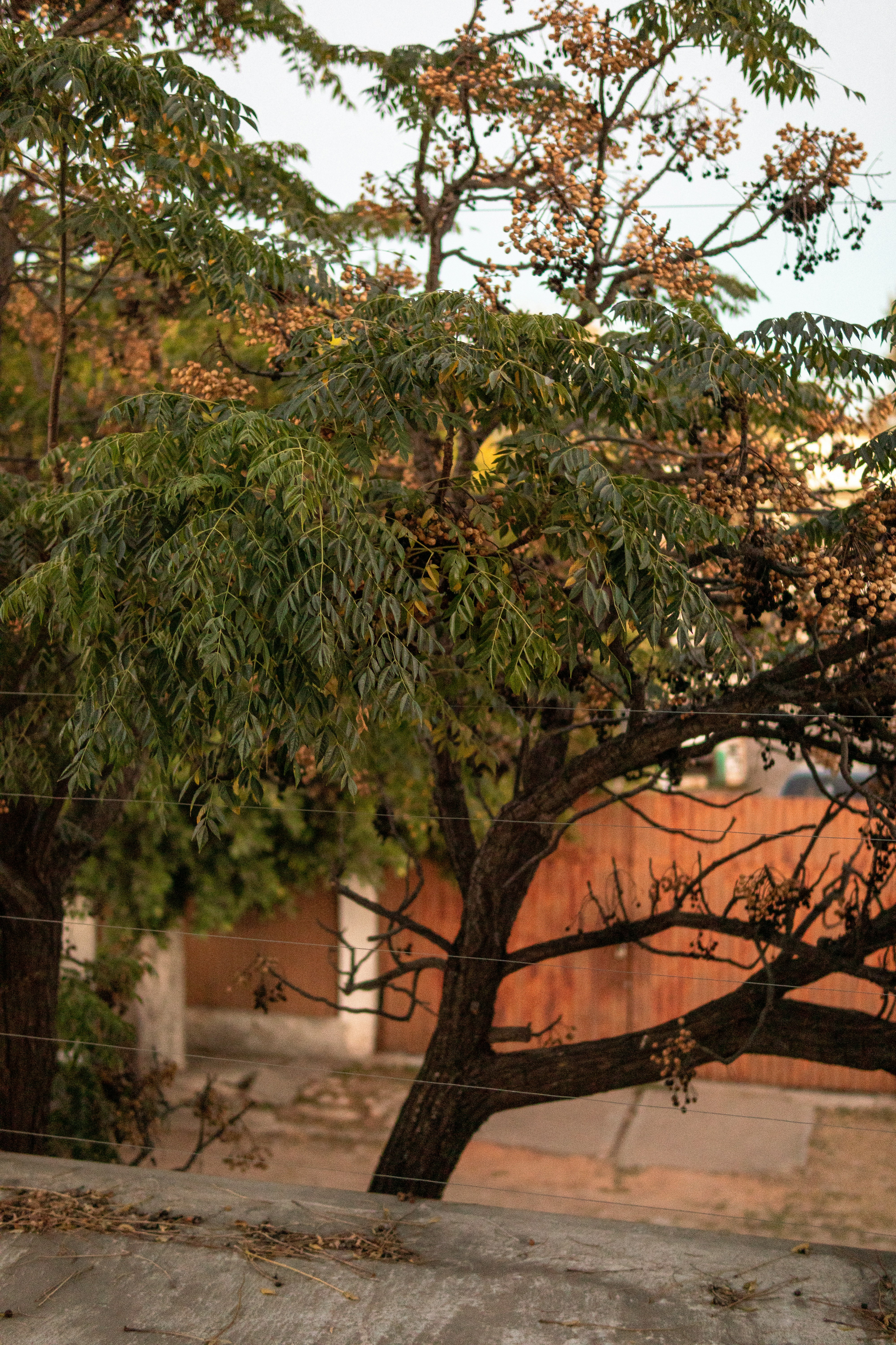 Photo by alex_quezada