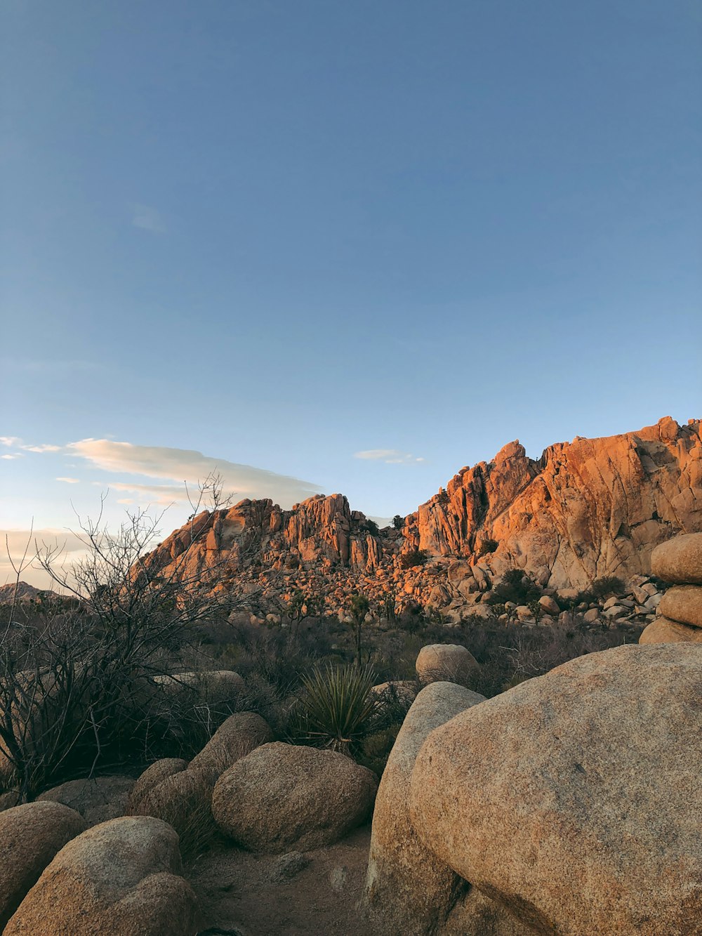 a rocky landscape with rocks and plants in the foreground