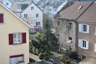 a view of some buildings and a tree