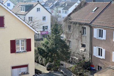 a view of some buildings and a tree