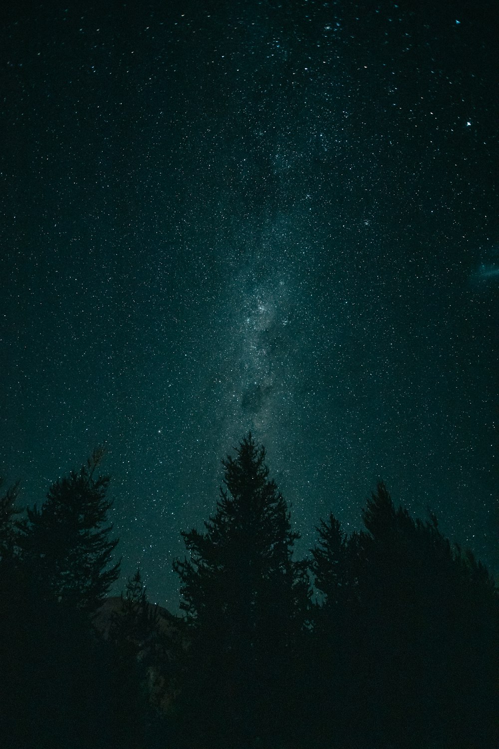 the night sky is filled with stars and trees