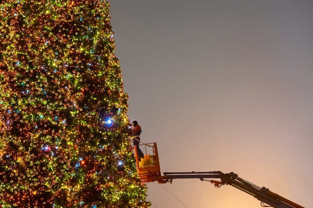 a man on a lift working on a large christmas tree