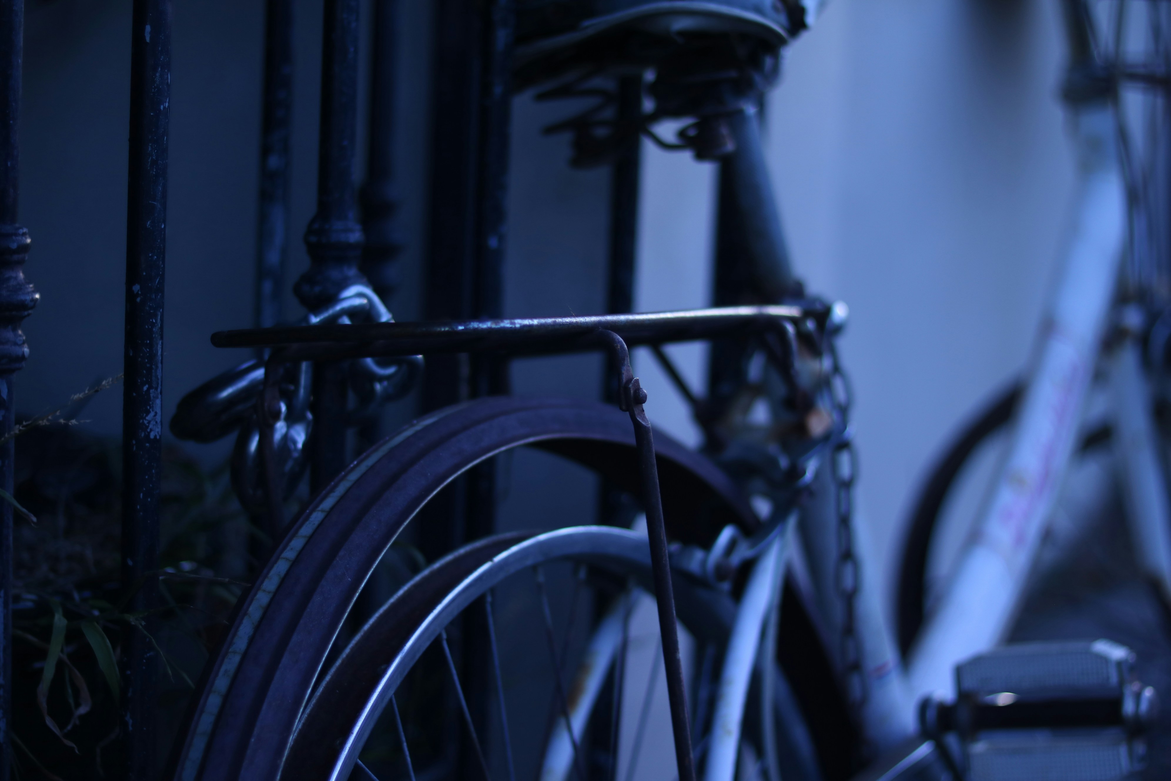 Photo by allysphotos