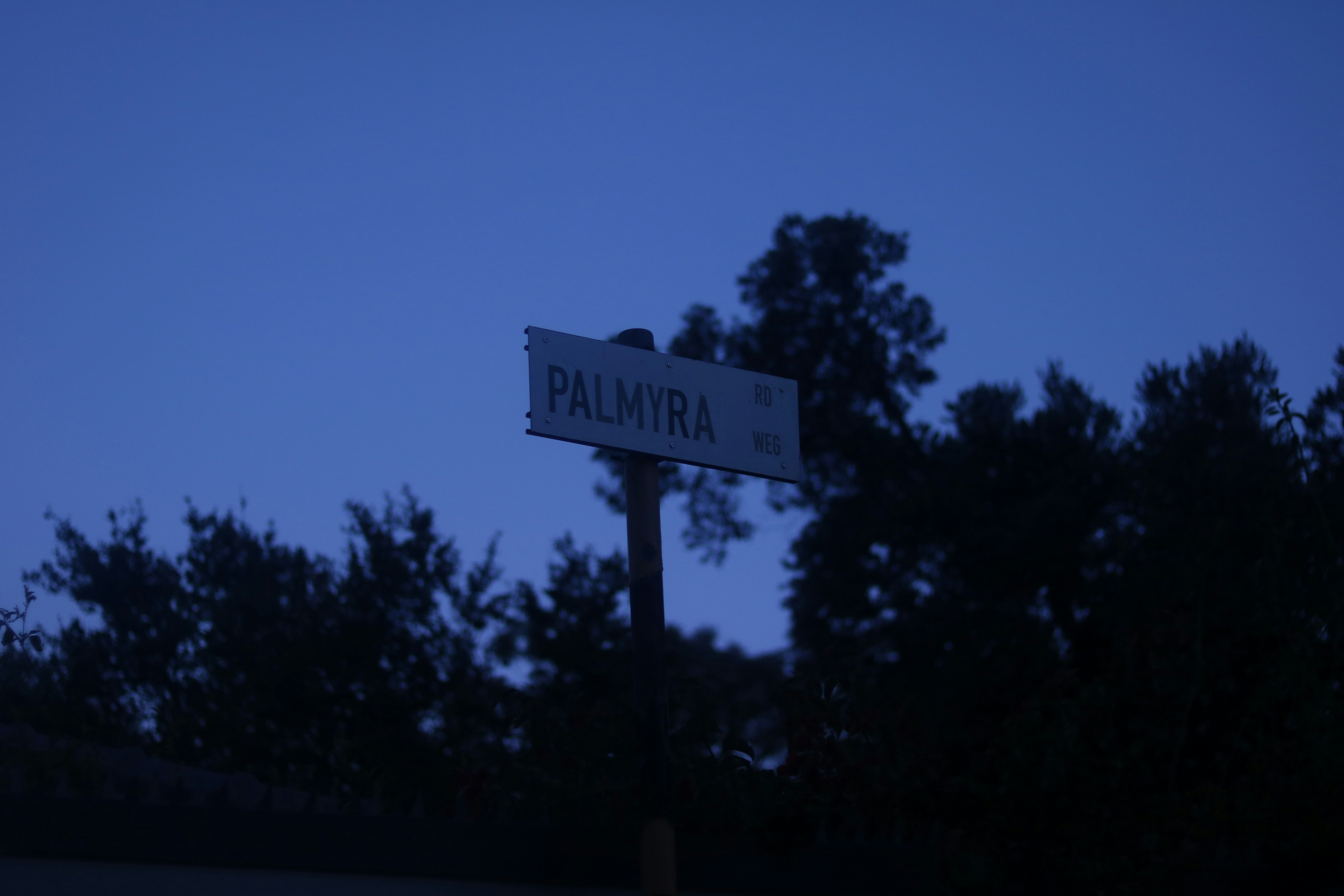 Nightlife Guide to Sliema (2026)