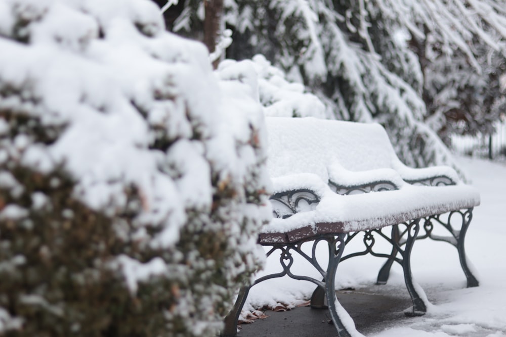 a couple of benches covered in snow next to trees