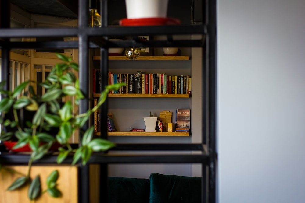 a book shelf with books and a potted plant