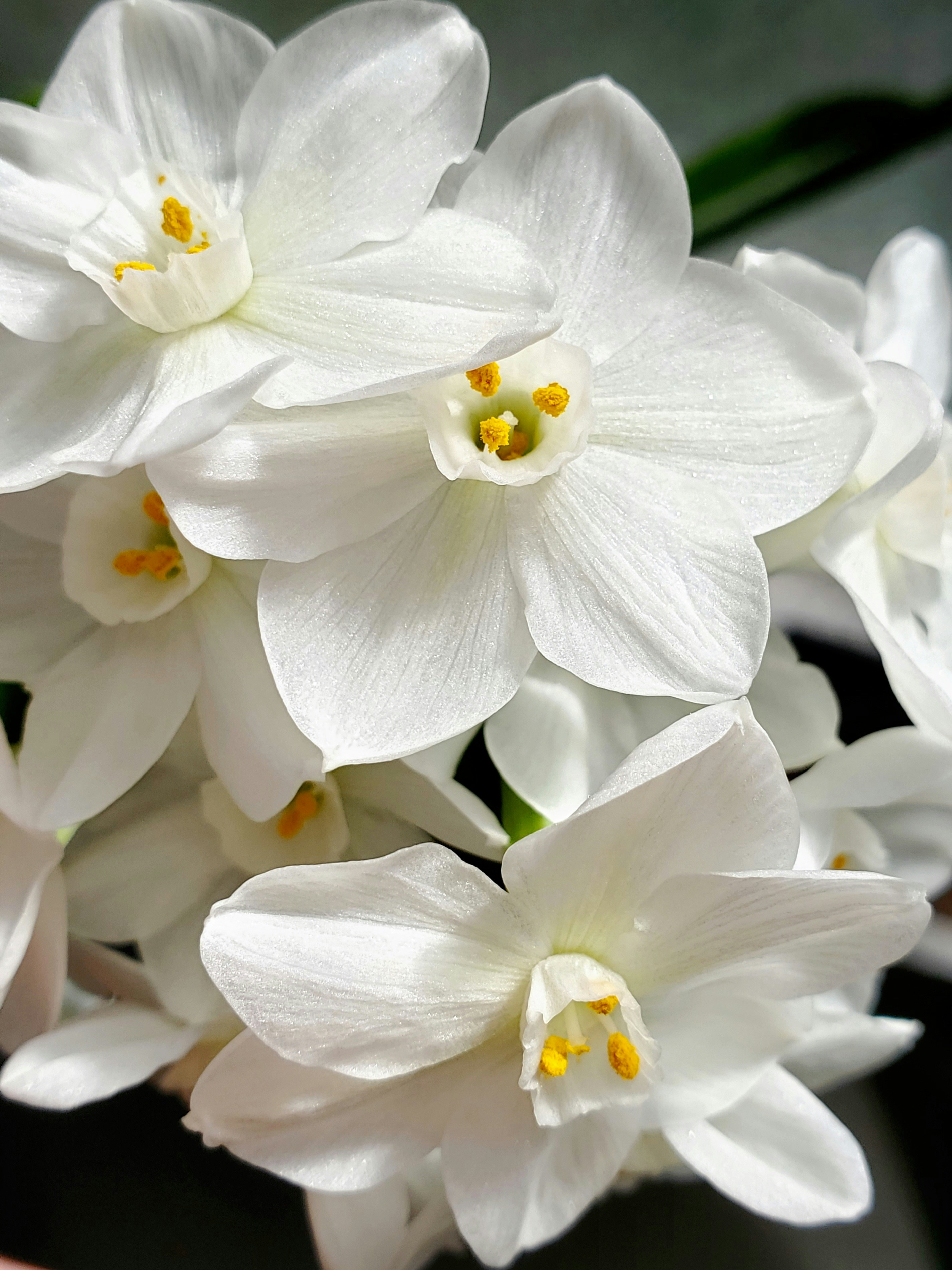 Photo by marion_hill9