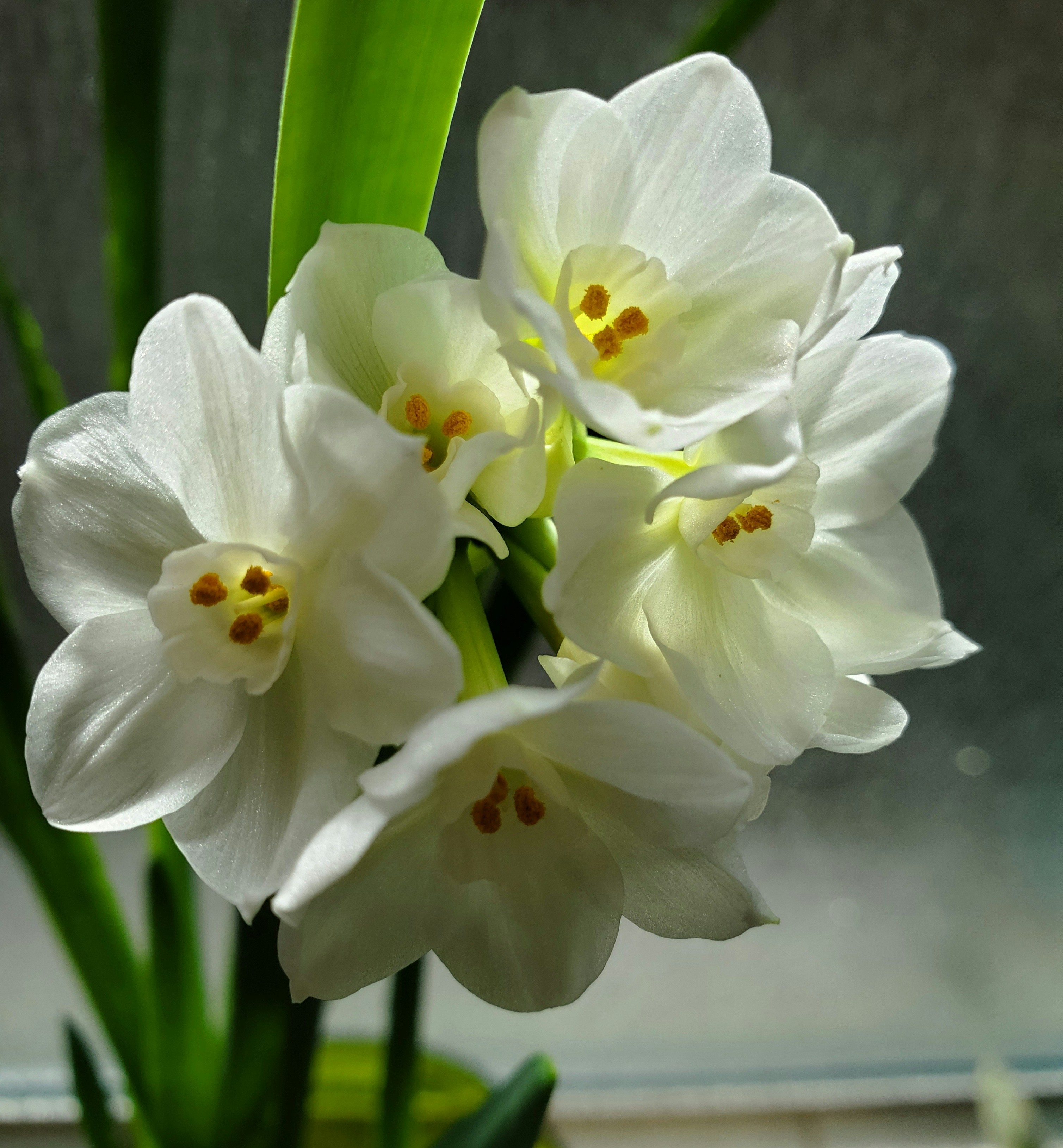 Photo by marion_hill9