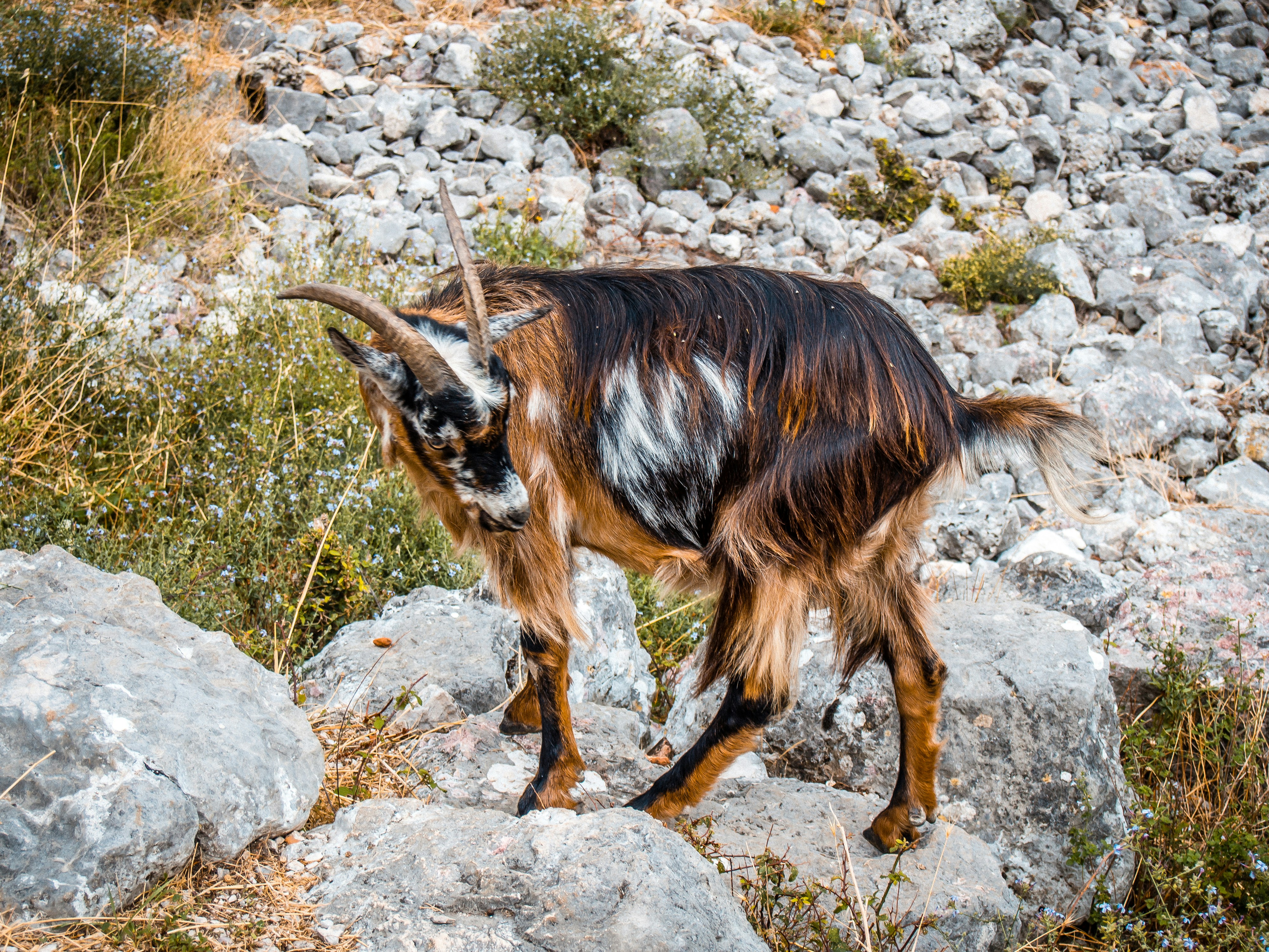 Photo by adventurealbania