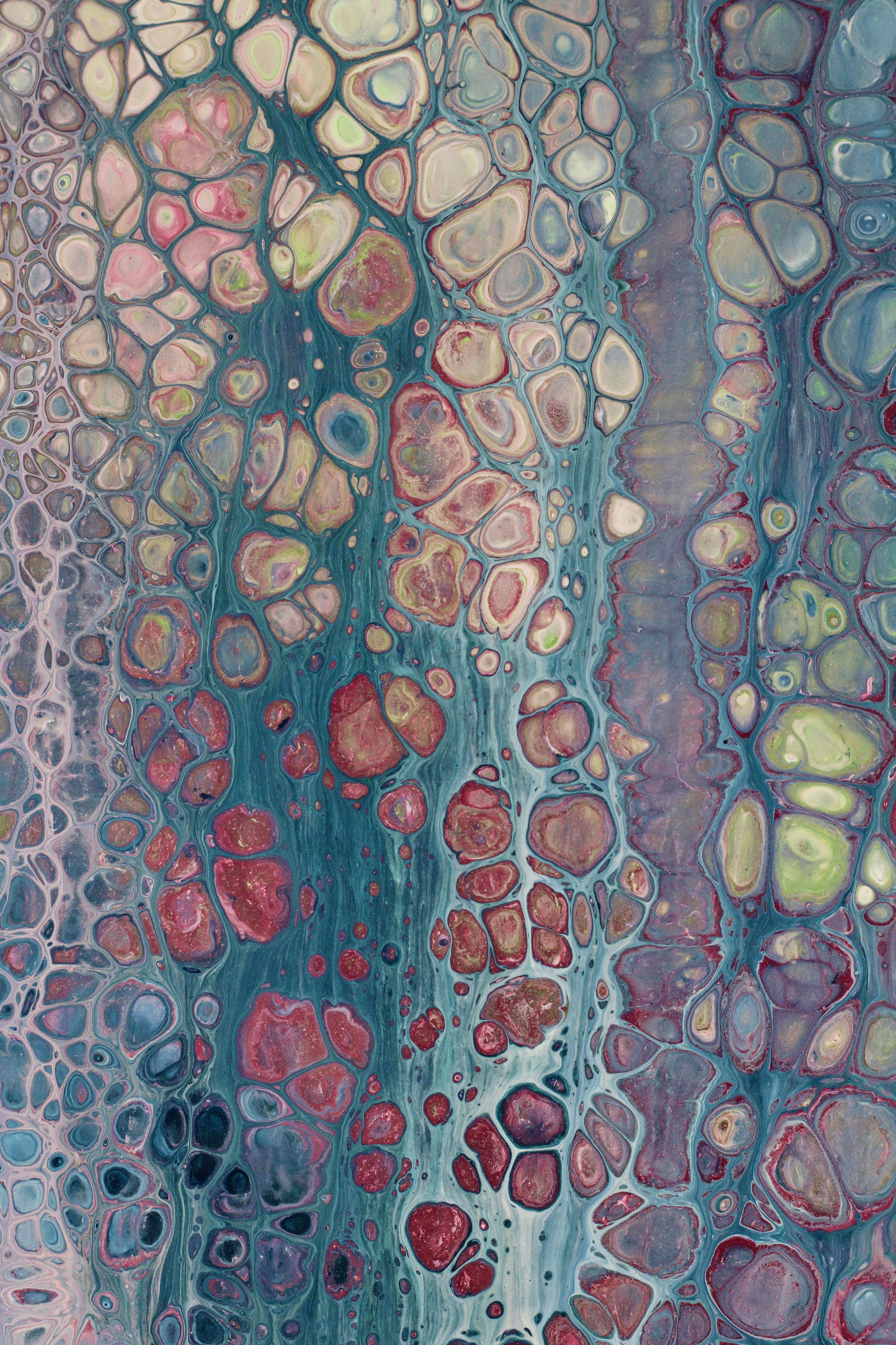 Photo by susan_wilkinson