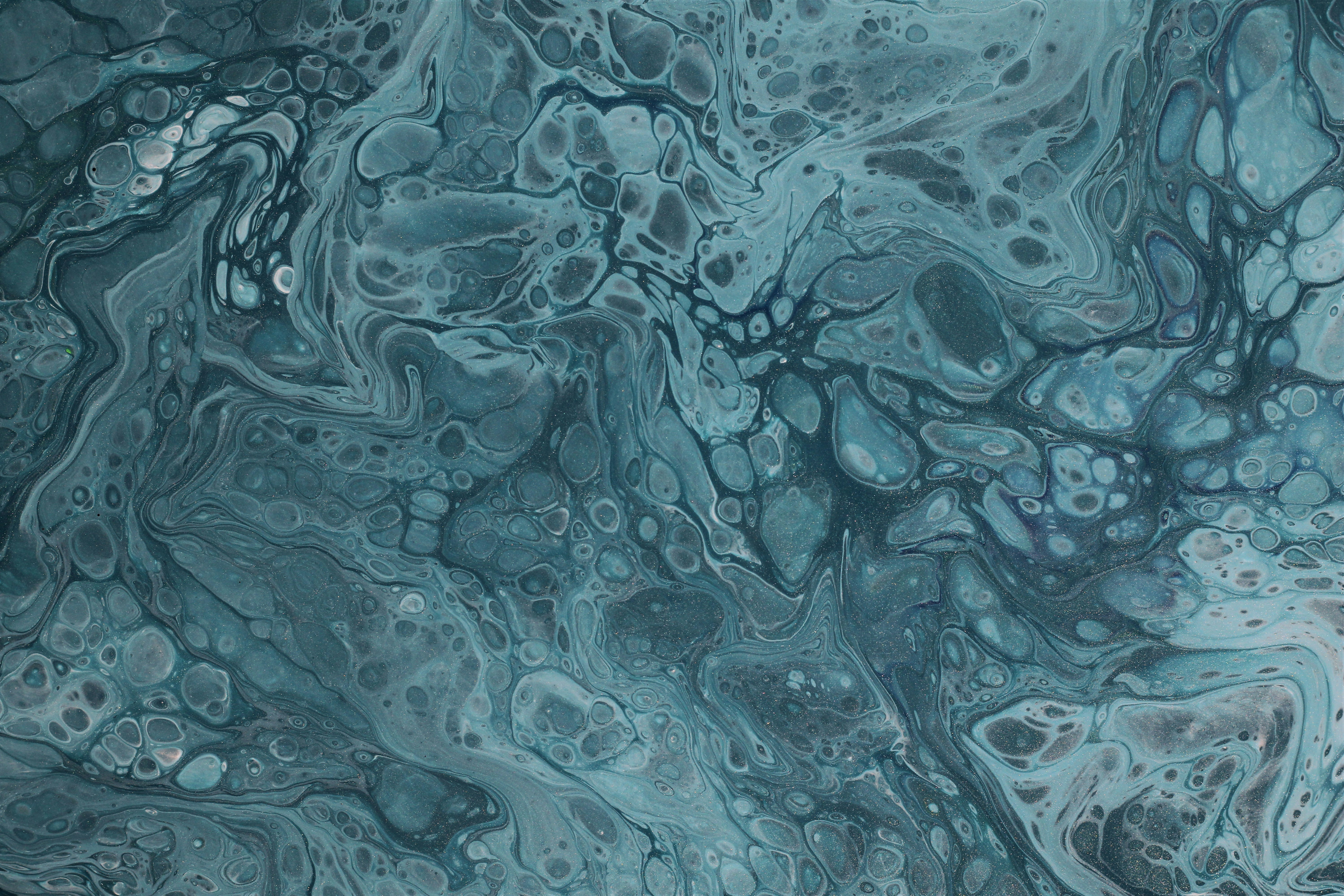 Photo by susan_wilkinson