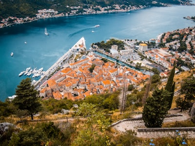 an aerial view of a city and a harbor