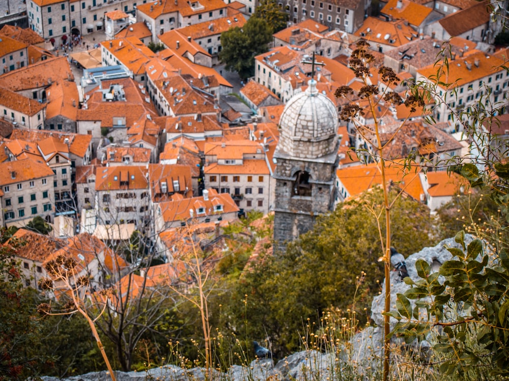 a bird's eye view of a city with orange roofs