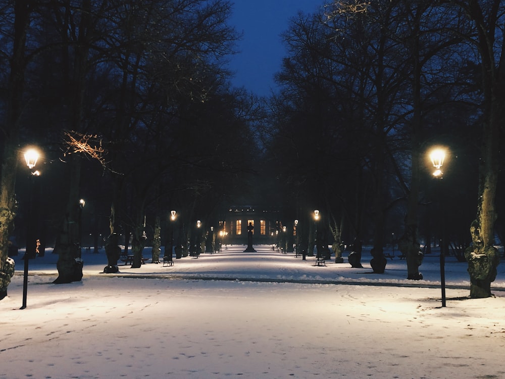 a snow covered park at night with street lights