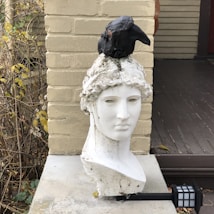 A white marble bust of a classical figure with a detailed, serene expression is positioned against a beige brick wall. Atop the bust's head, a black bird is perched. The setting includes some dry foliage and a wooden deck in the background. A small lantern-style decoration is placed near the base of the bust.