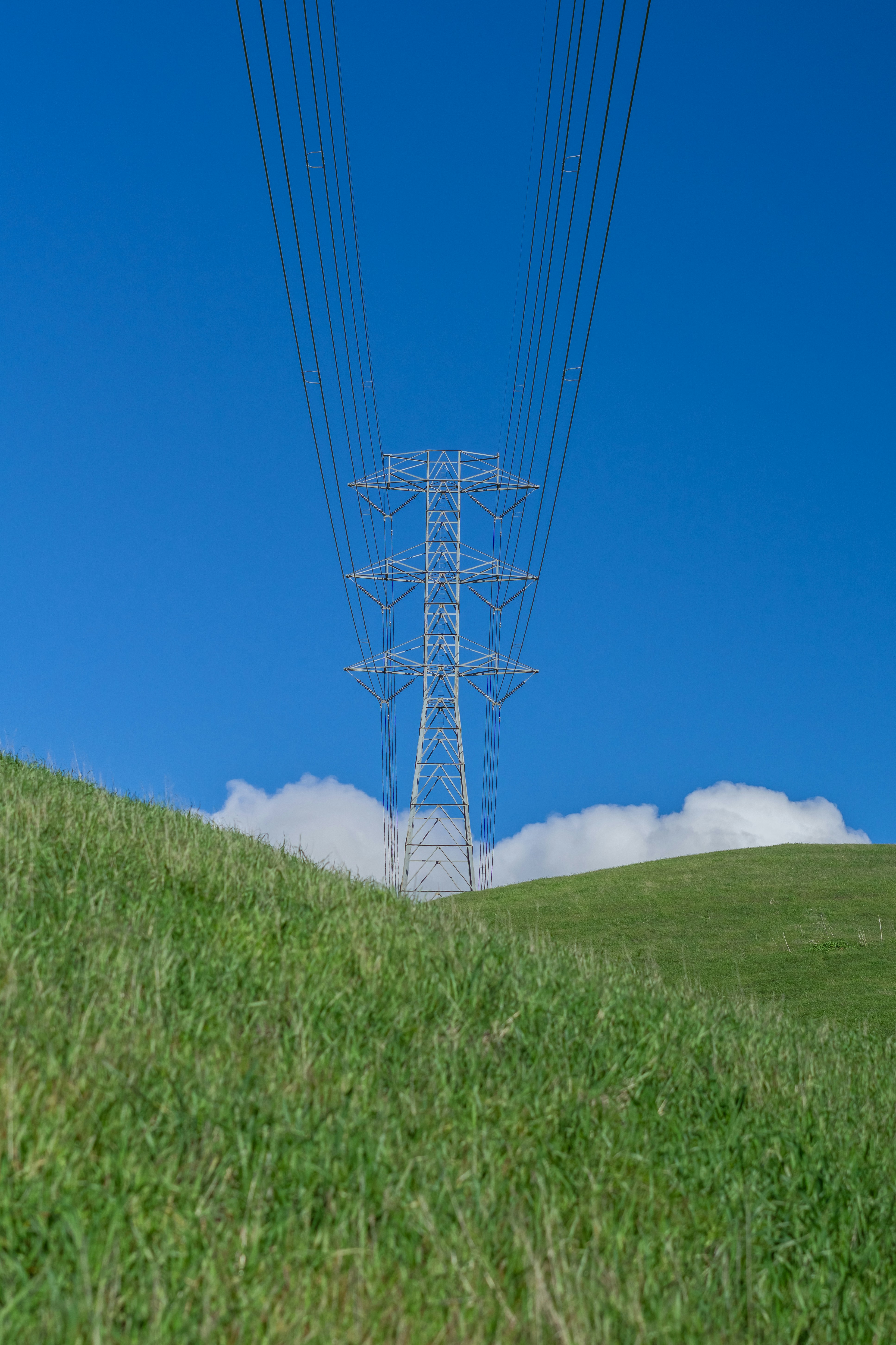 Photo by spencer_demera