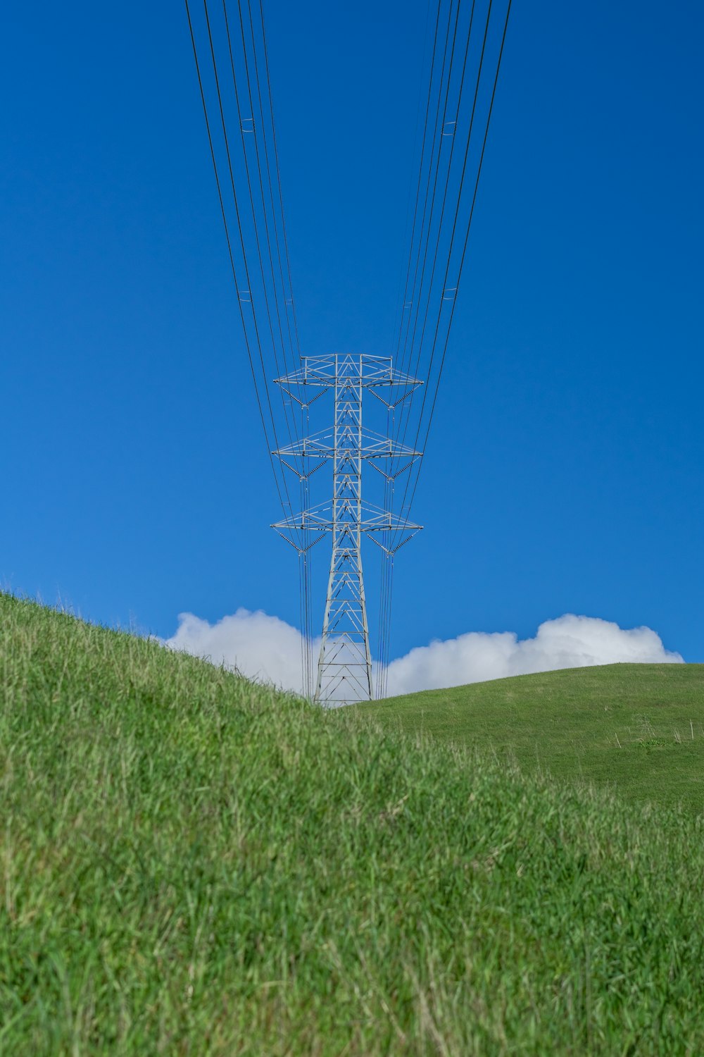 a power line in the middle of a grassy field