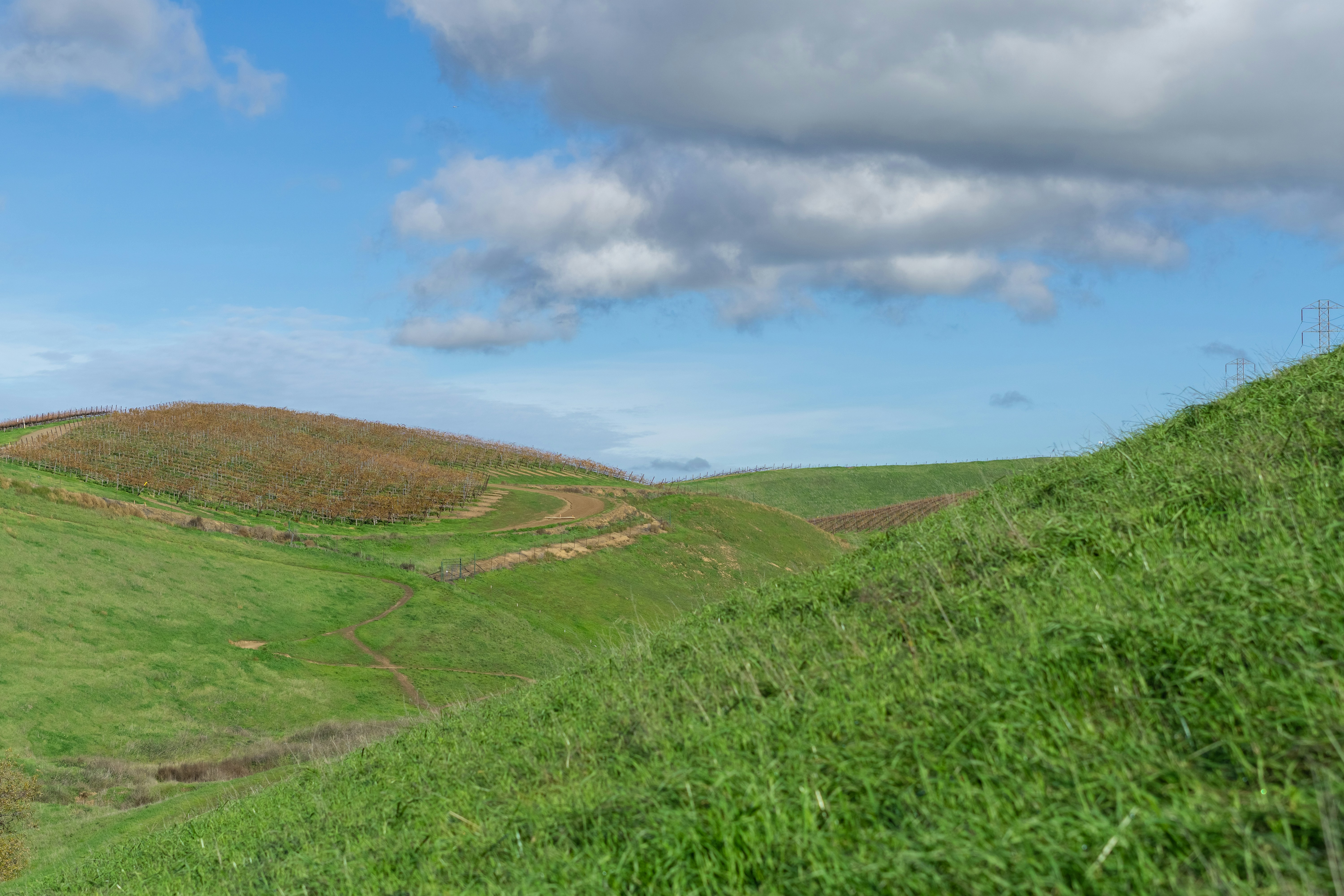 Photo by spencer_demera