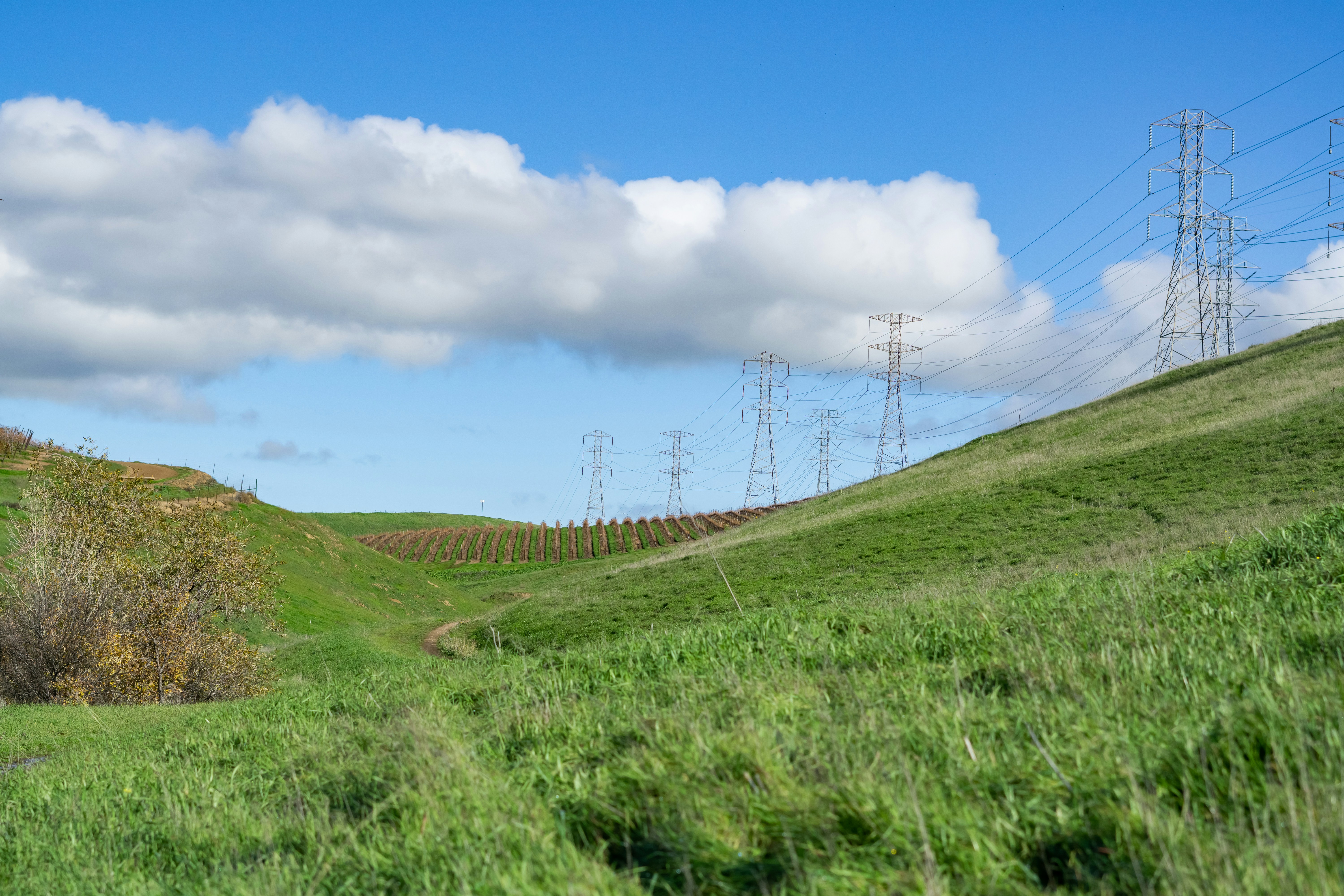 景観条例の配慮義務は？自治体景観計画と再エネ設置基準関連画像