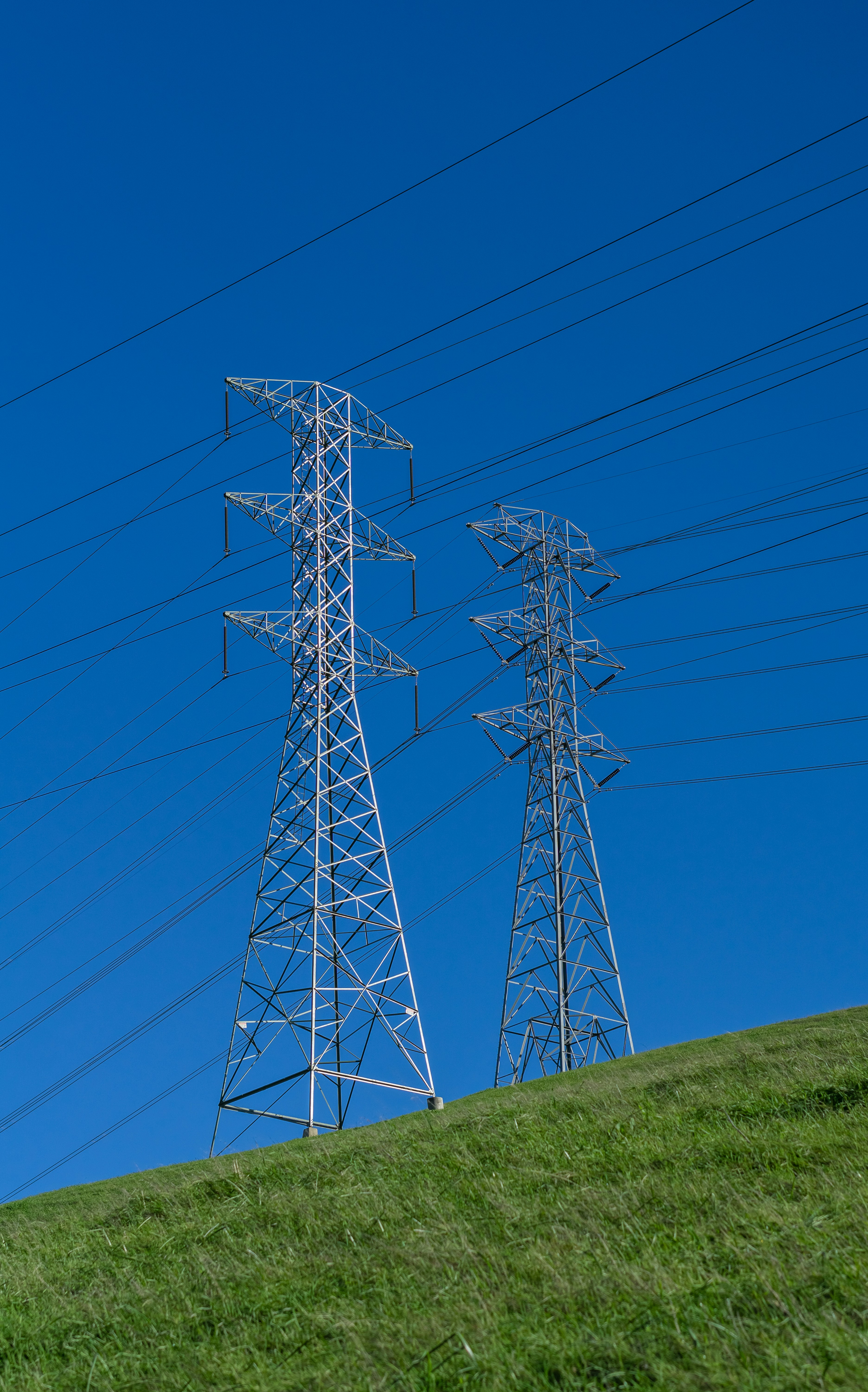 Photo by spencer_demera