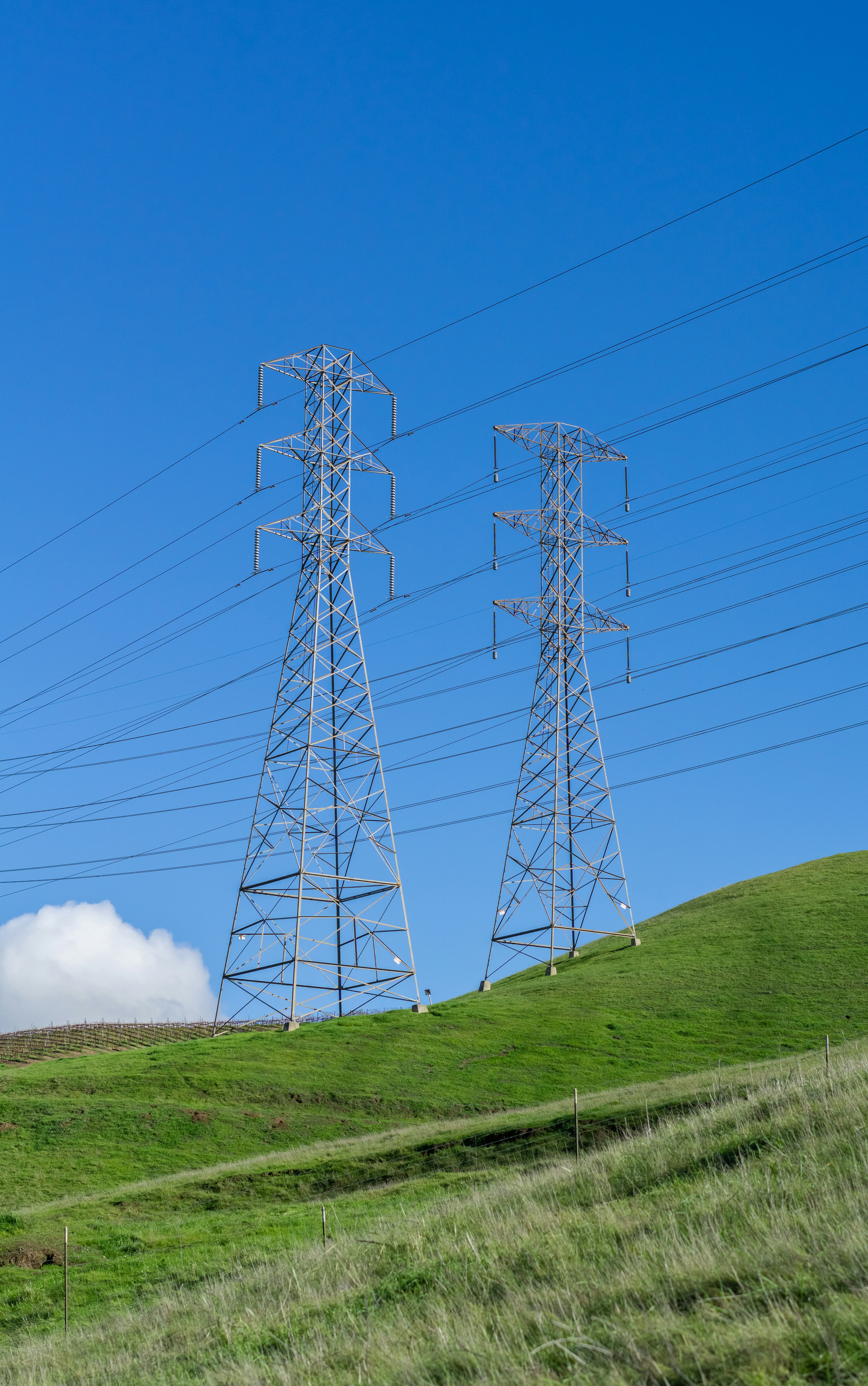 Photo by spencer_demera