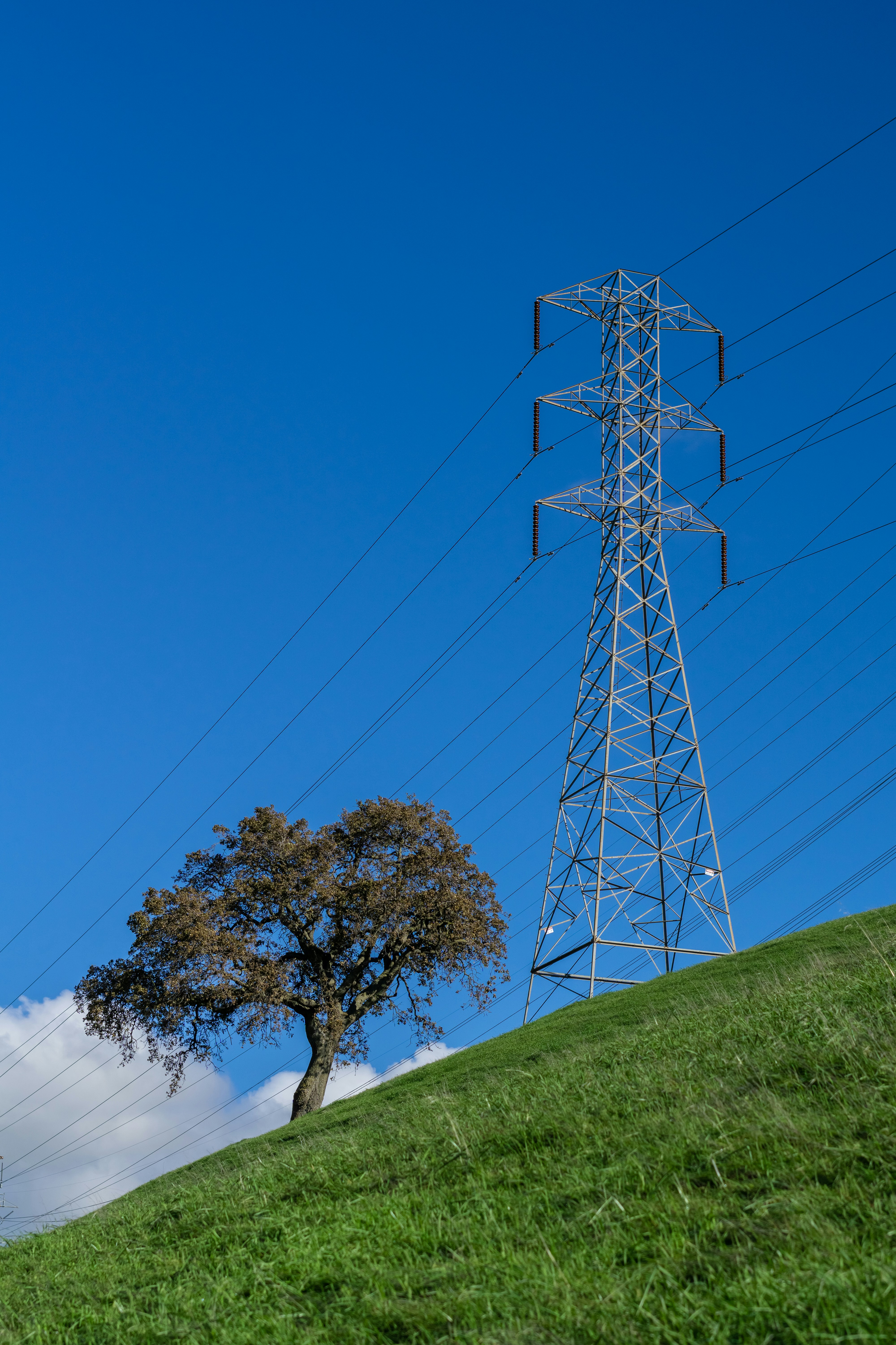 Roth Capital Reinstates Buy on HighPeak Energy, Announces $12 Price Target