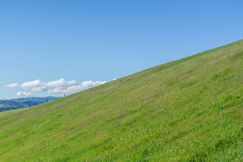 a green grassy hill with a blue sky in the background