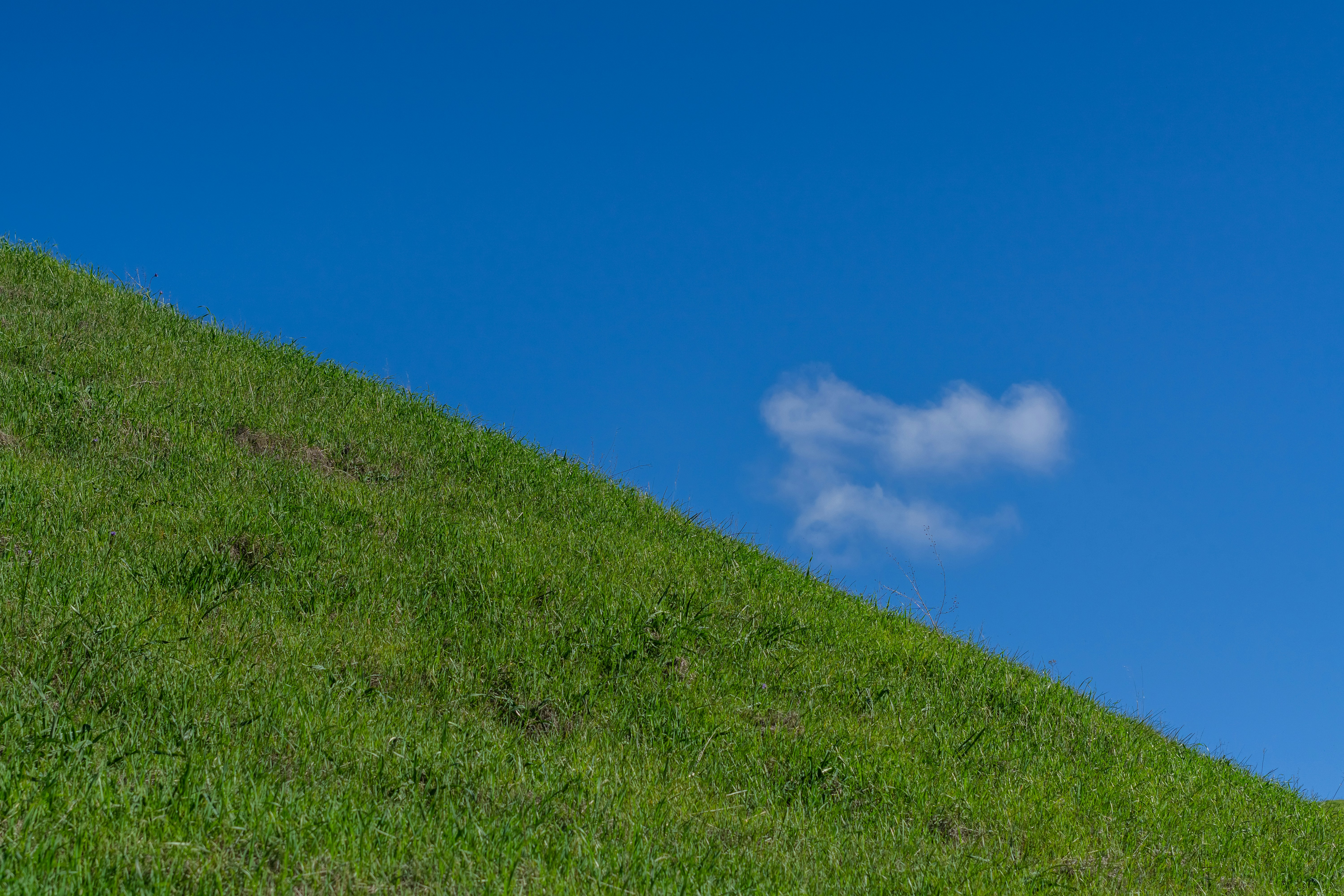 Photo by spencer_demera