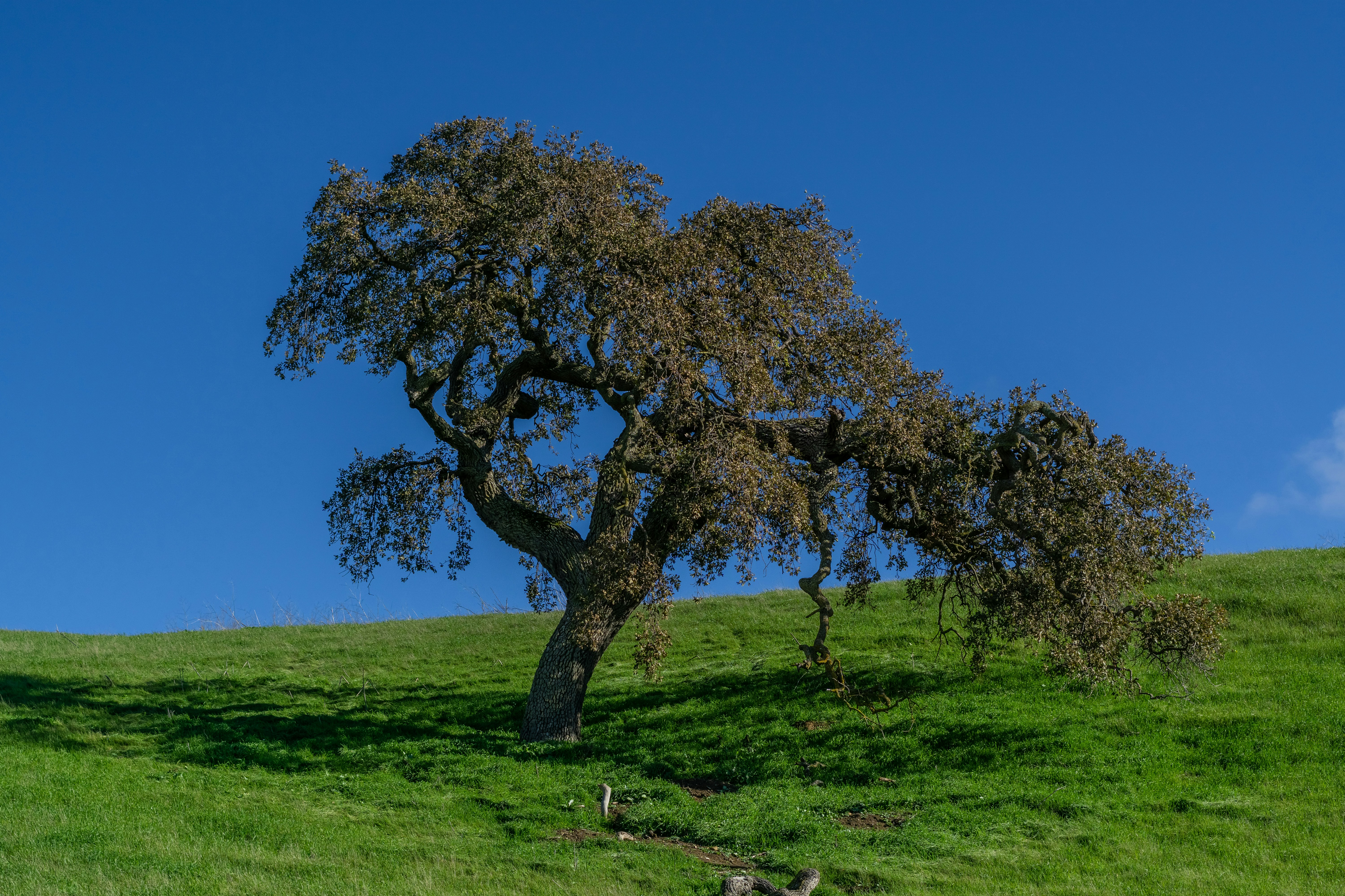 Photo by spencer_demera